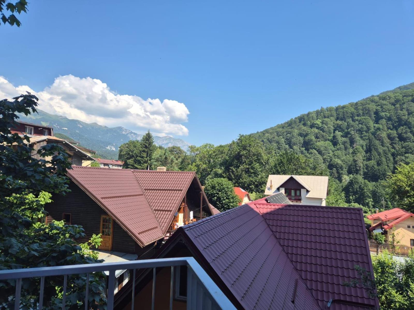 Luxroom In Greenfuture Sinaia Exterior photo